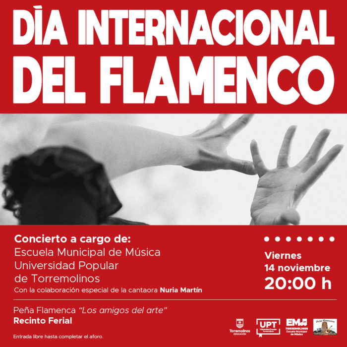 La Escuela Municipal de Música de Torremolinos ofrecerá un concierto con motivo del Día Internacional del Flamenco